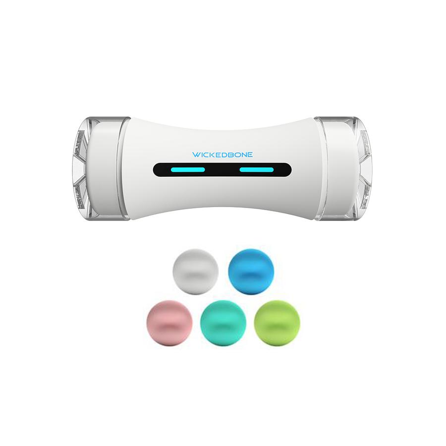 Intelligent Dog's Wicked Bone 