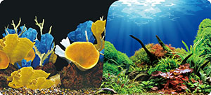 Double Sided Aquarium Background Poster Fish Tank Backdrop